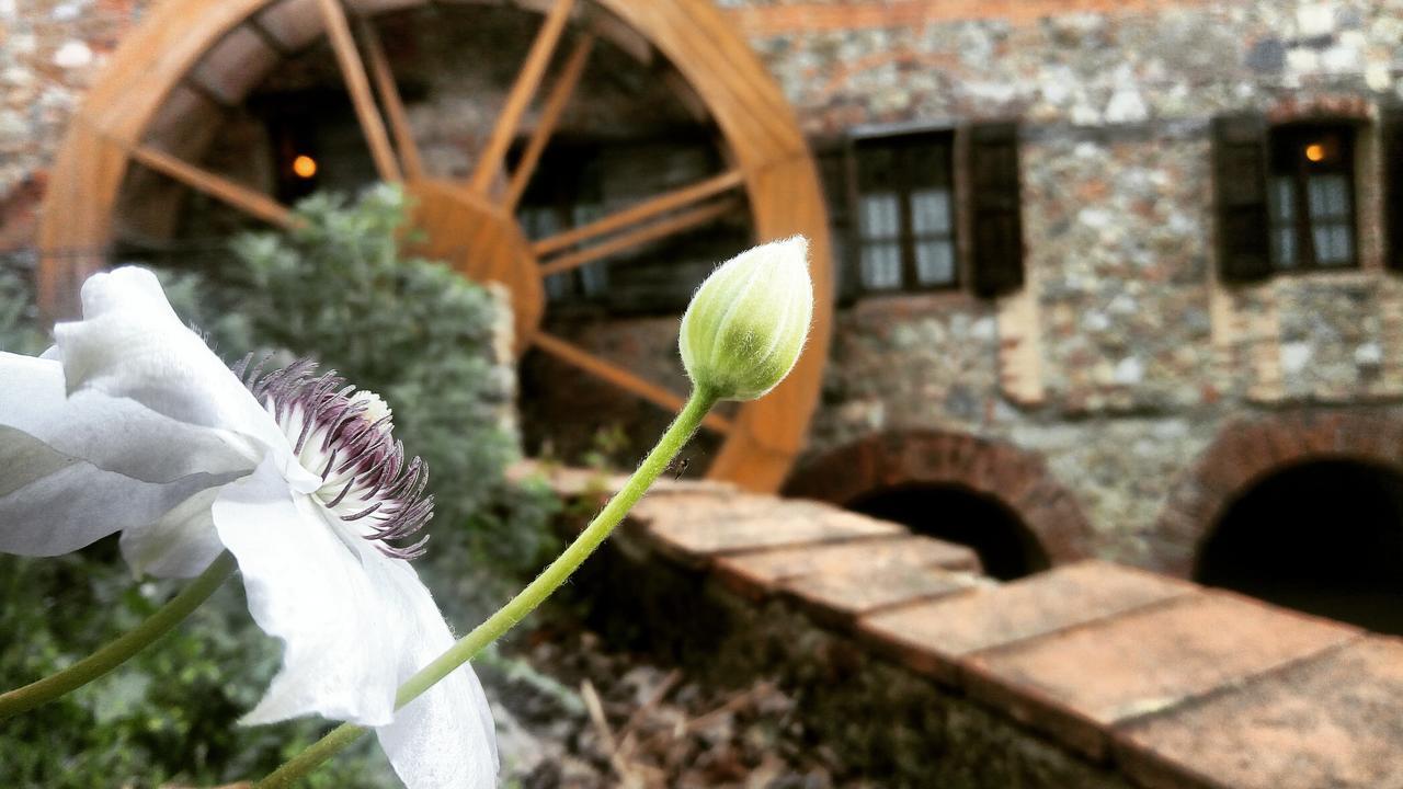 Agriturismo Il Mulino Delle Pile Chiusdino Exterior foto